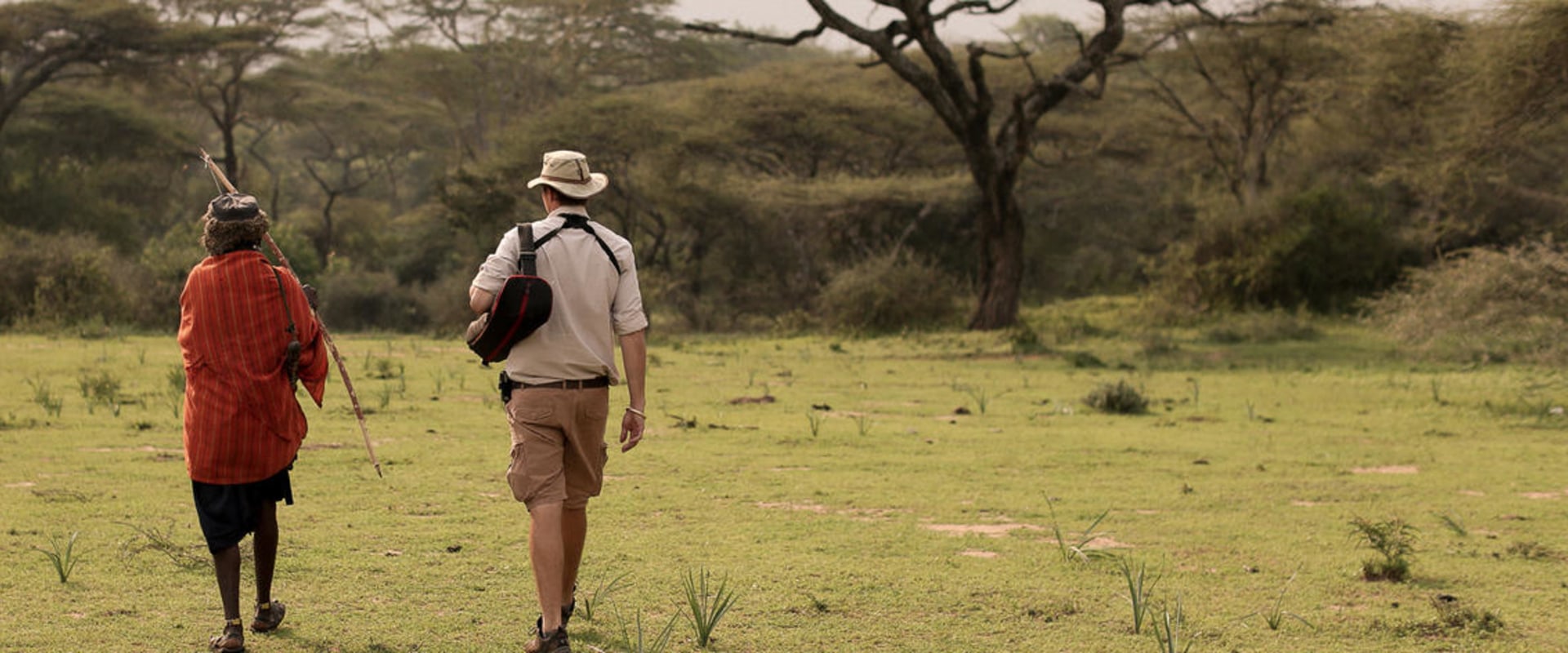 Tanzania Safari Tours: An Unforgettable Adventure