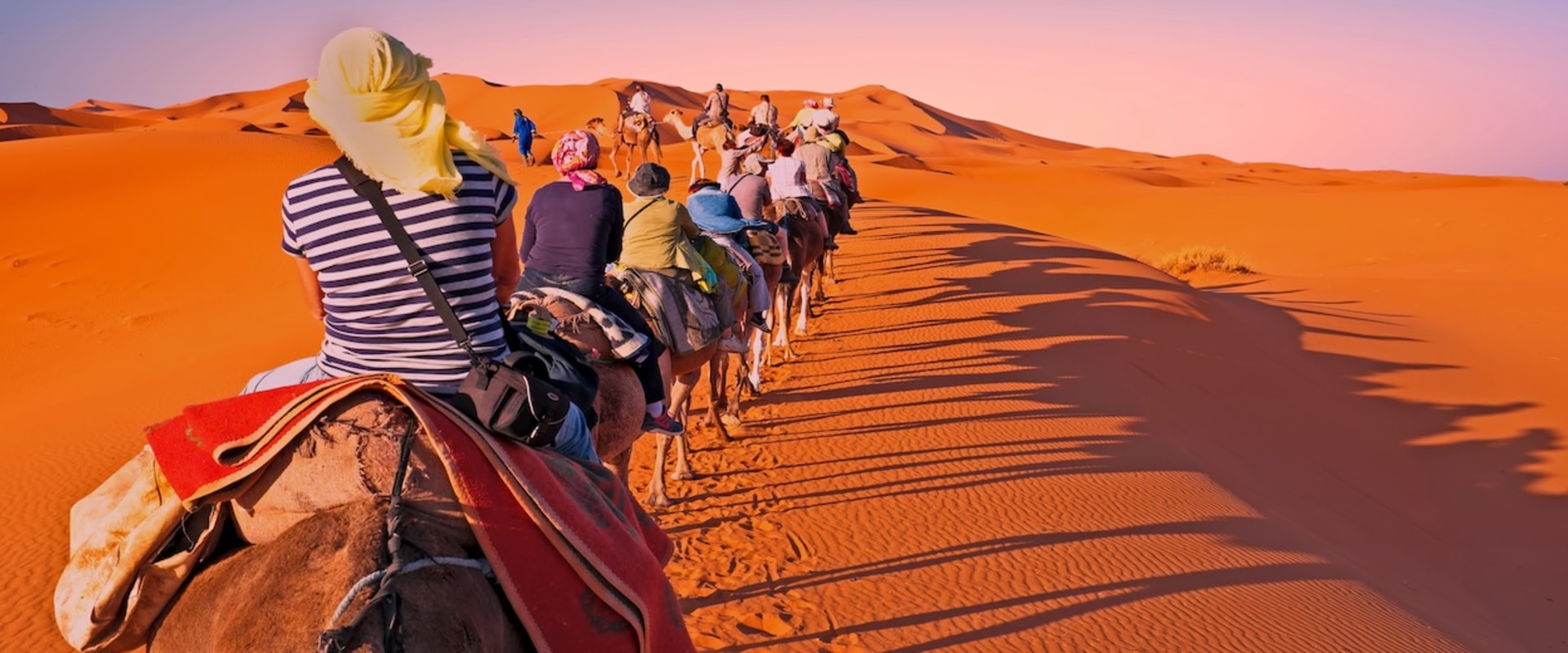 Exploring Luxury and Culture on a Moroccan Safari