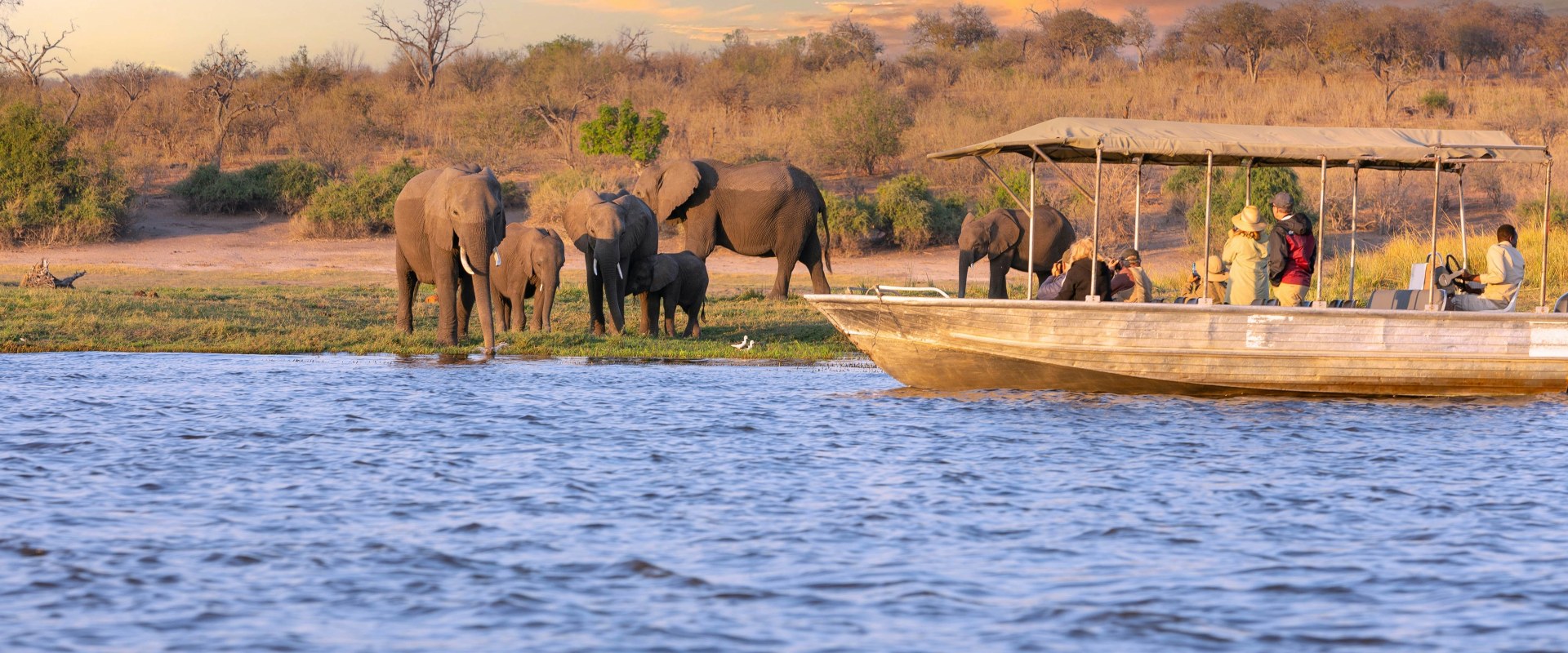 Exploring the Beauty of South Africa: A Guide to Safari Tours