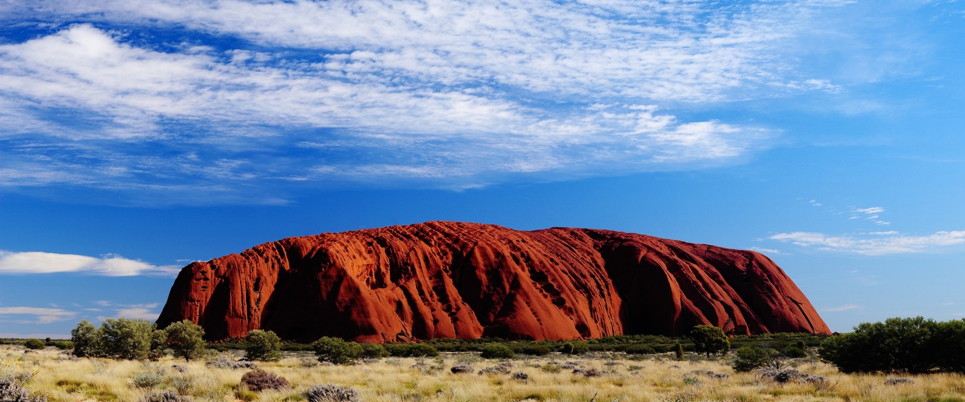 Discover the Thrilling Adventures of the Australian Outback