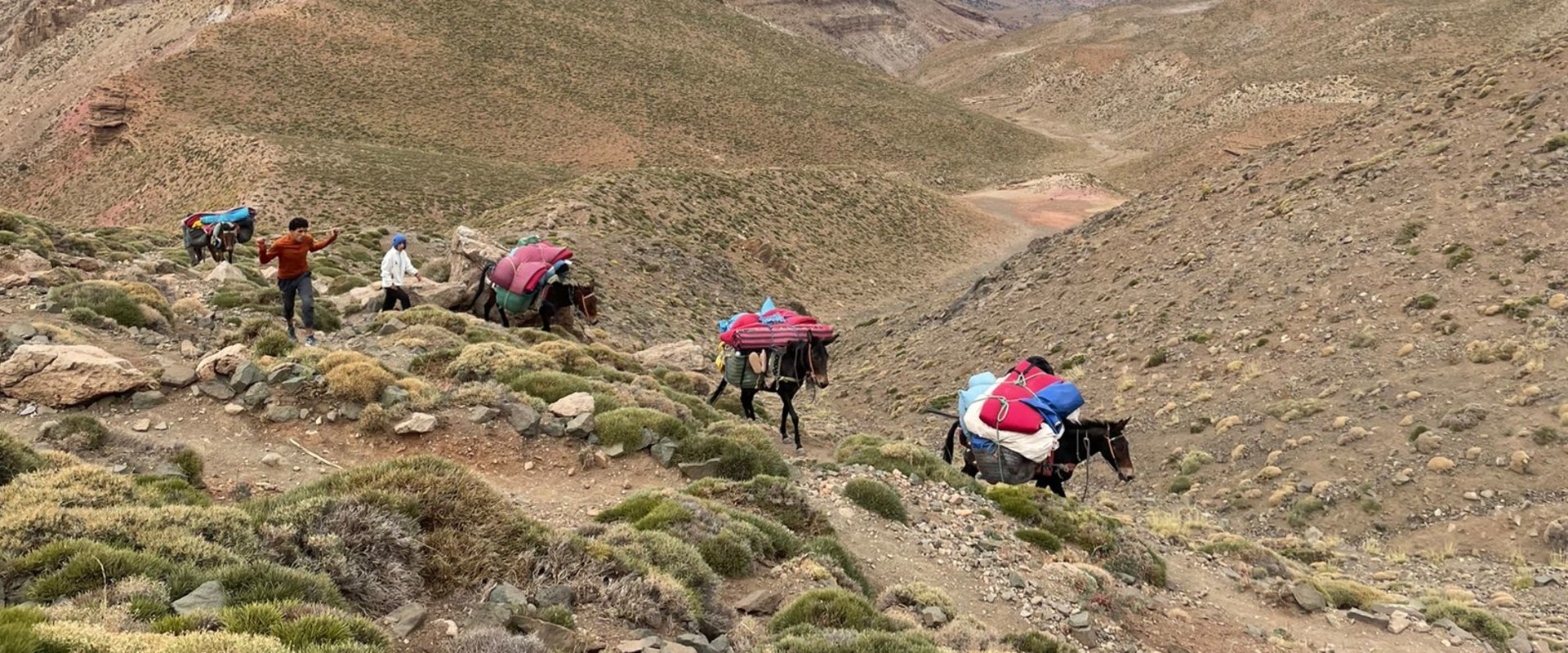 Discovering the Beauty of Mount M'goun: An Unforgettable Moroccan Safari Experience