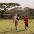 Tanzania Safari Tours: An Unforgettable Adventure