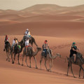 Camel Trekking in Morocco: An Unforgettable Desert Adventure