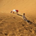 Exploring the Exciting Adventures of the Arabian Desert