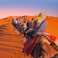 Exploring Luxury and Culture on a Moroccan Safari