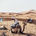 Finding Water in the Desert: A Guide to Surviving Morocco's Sahara Adventure