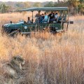 A Comprehensive Guide to Game Drive Safaris in Morocco