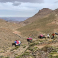 Discovering the Beauty of Mount M'goun: An Unforgettable Moroccan Safari Experience