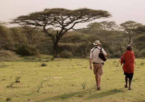 Tanzania Safari Tours: An Unforgettable Adventure