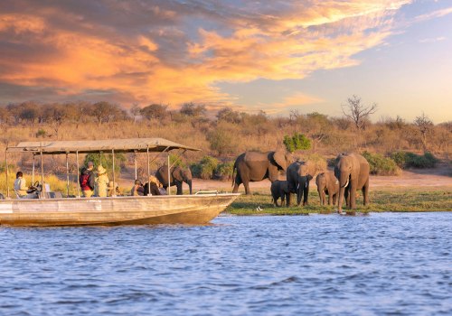 Exploring the Beauty of South Africa: A Guide to Safari Tours