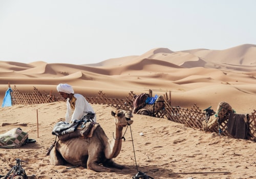 Finding Water in the Desert: A Guide to Surviving Morocco's Sahara Adventure