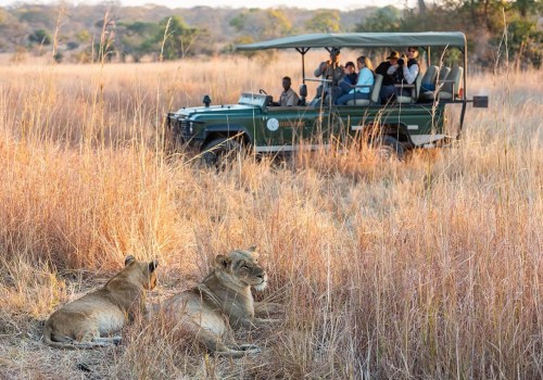 A Comprehensive Guide to Game Drive Safaris in Morocco