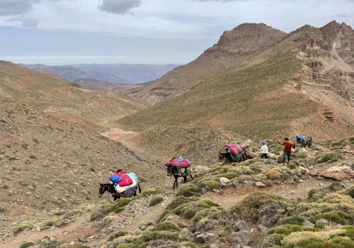 Discovering the Beauty of Mount M'goun: An Unforgettable Moroccan Safari Experience