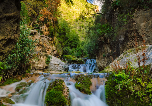 Discover the Beauty of Morocco's National Parks and Reserves