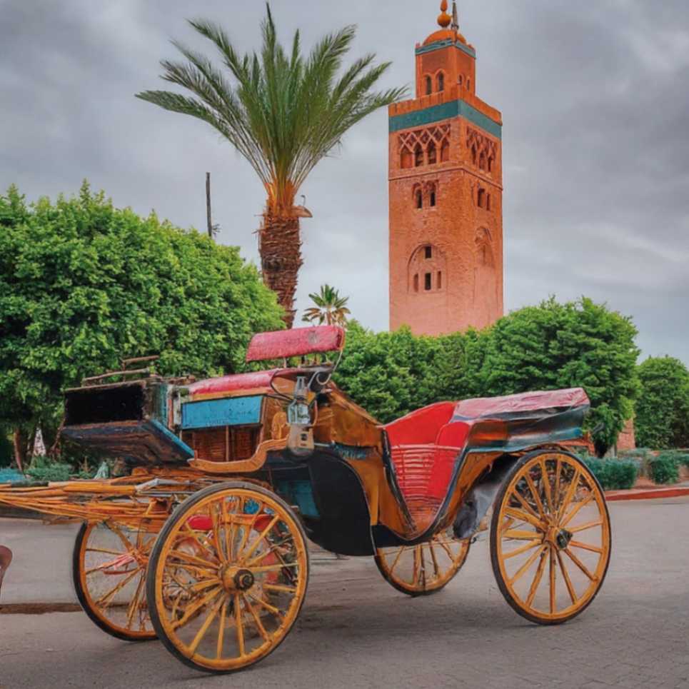 Marrakech Transport