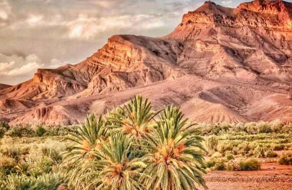 Zagora Desert Morocco